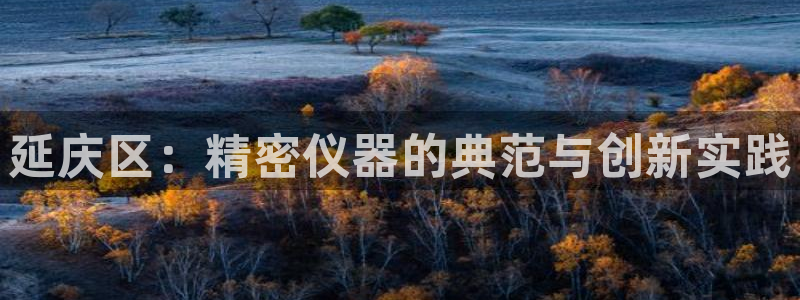 星欧娱乐旗下艺人名单：延庆区：精密仪器的典范与创新实践