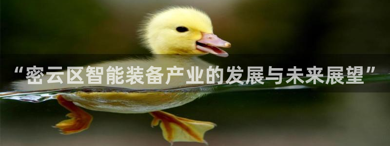 星饭娱乐欧豪是谁