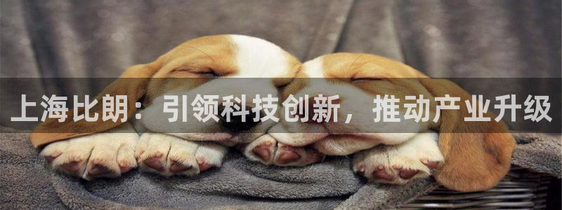 星欧娱乐的官方网站