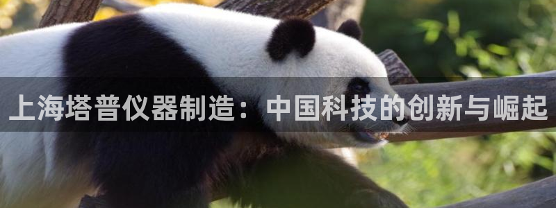 乌鲁木齐欧乐星娱乐：上海塔普仪器制造：中国科技的创新与崛起