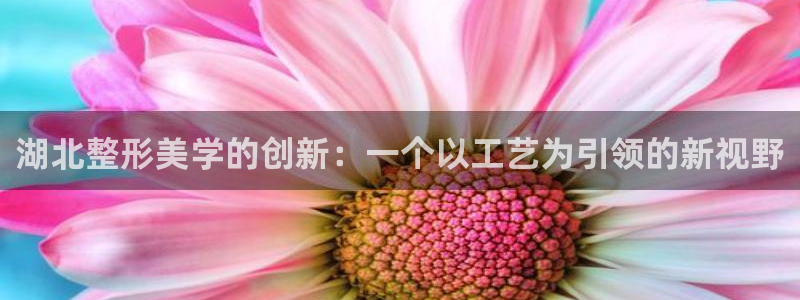 星辉娱乐进入欧联杯了吗：湖北整形美学的创新：一个以工艺为引领