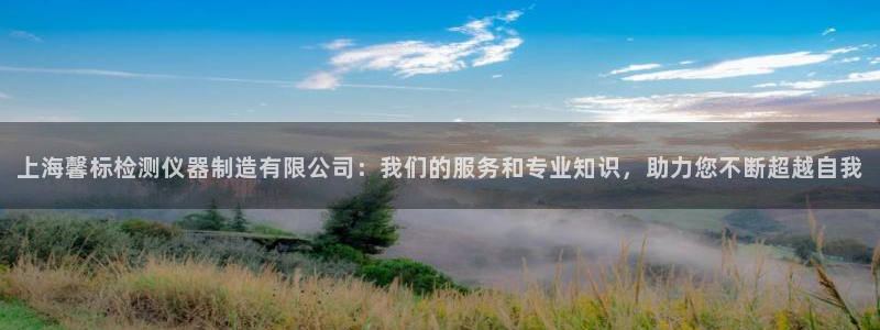 星欧娱乐下载：上海馨标检测仪器制造有限公司：我们的服务和专业