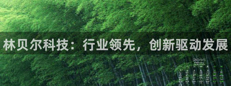 欧联杯正赛星辉娱乐：林贝尔科技：行业领先，创新驱动发展