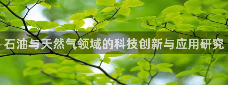 星欧娱乐招商非7O777：石油与天然气领域的科技创新与应用研