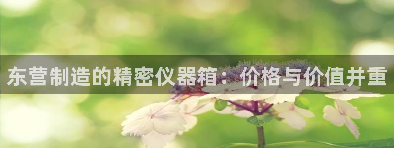 星欧娱乐号7o777：东营制造的精密仪器箱：价格与价值并重