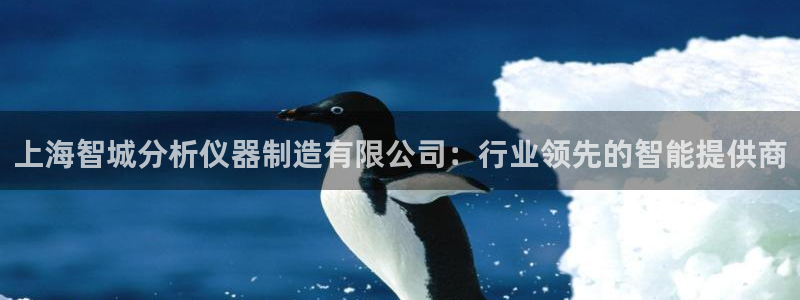 欧星在线娱乐：上海智城分析仪器制造有限公司：行业领先的智能提