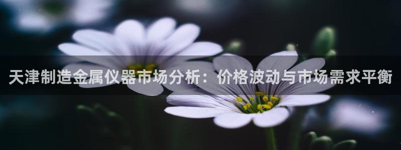 星欧娱乐怎么注册：天津制造金属仪器市场分析：价格波动与市场需