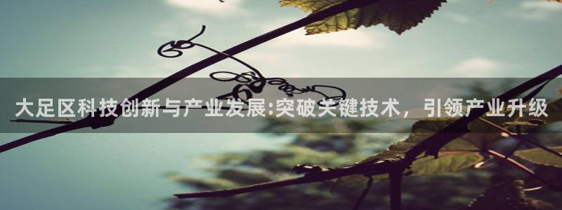 世欧星途娱乐：大足区科技创新与产业发展:突破关键技术，引领产
