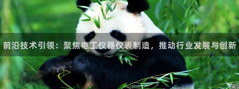 星欧娱乐负责人：前沿技术引领：聚焦电工仪器仪表制造，推动行业