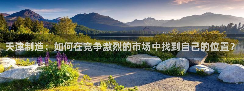 欧星娱乐平台是黑的吗：天津制造：如何在竞争激烈的市场中找到自
