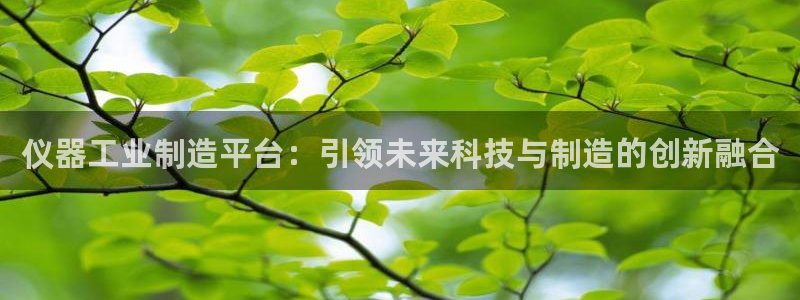 星欧娱乐最新版下载链接：仪器工业制造平台：引领未来科技与制造