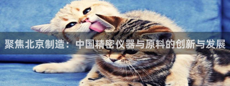 欧汇星娱乐：聚焦北京制造：中国精密仪器与原料的创新与发展