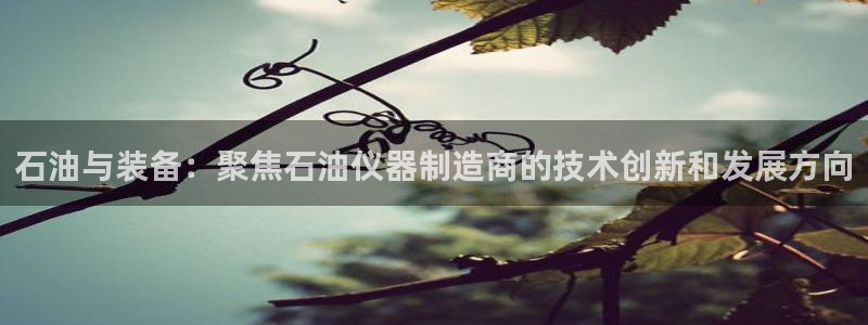 星欧娱乐联客服联系方式：石油与装备：聚焦石油仪器制造商的技术