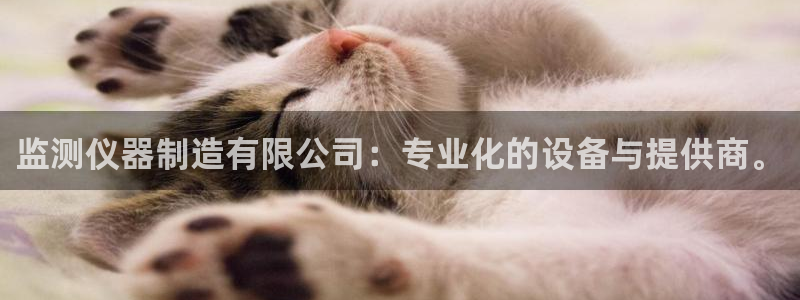 星欧娱乐注册资金多少：监测仪器制造有限公司：专业化的设备与提