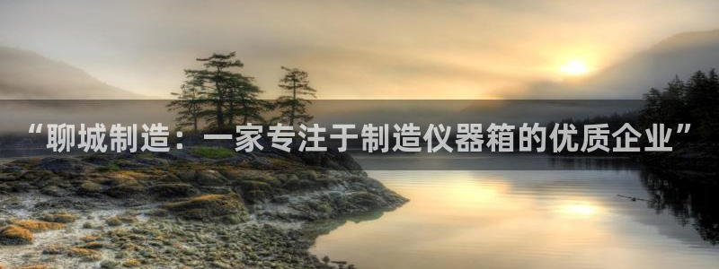 欧星娱乐pt：“聊城制造：一家专注于制造仪器箱的优质企业”