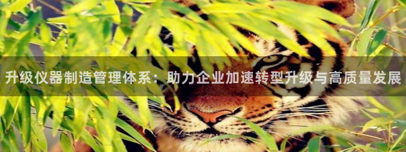 星欧娱乐平台是否靠谱：升级仪器制造管理体系：助力企业加速转型