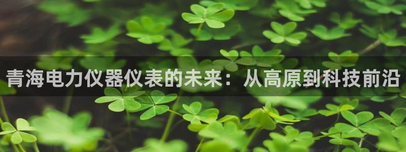 欧星娱乐网址无脑赚：青海电力仪器仪表的未来：从高原到科技前沿