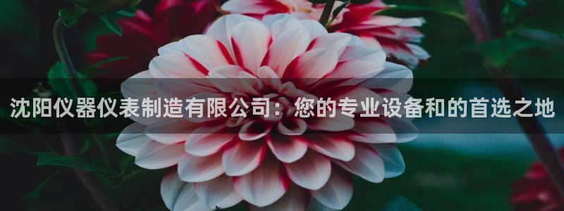 欧星娱乐主播：沈阳仪器仪表制造有限公司：您的专业设备和的首选