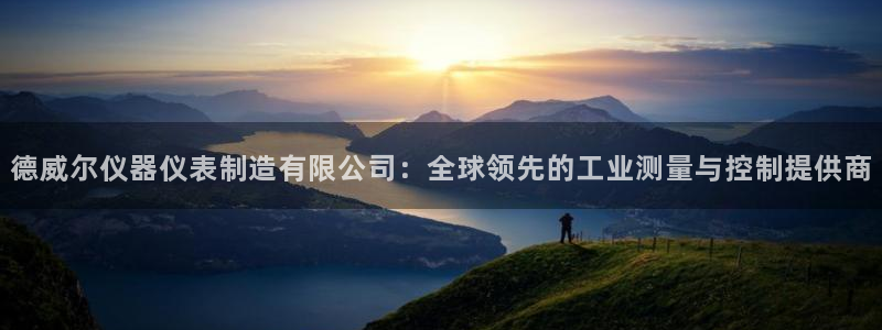 欧星娱乐：德威尔仪器仪表制造有限公司：全球领先的工业测量与控