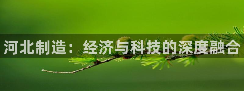 星欧娱乐扣款流程详解：河北制造：经济与科技的深度融合