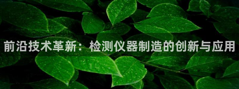 欧星线上娱乐：前沿技术革新：检测仪器制造的创新与应用