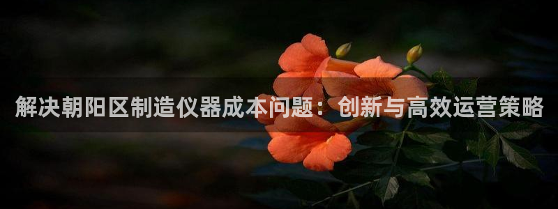 欧星娱乐 拉勾：解决朝阳区制造仪器成本问题：创新与高效运营策