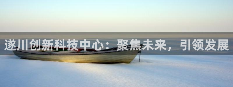 星欧娱乐平台主管：遂川创新科技中心：聚焦未来，引领发展